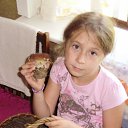 ���� ����, ������ ��������, 24 ���� - ��������� 27 ���� 2011 � ������ ���� ����������