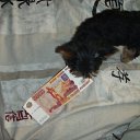 ���� Samaya🌹, �����-���������, 39 ��� - ��������� 16 ���� 2010 � ������ ���� ��������