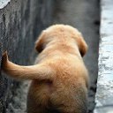 ���� ��������, ������-��-���� - ��������� 5 ������� 2013 � ������ ���� ����������