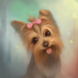 ����, �����������, 24 ����