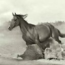 ���� �����, ��������, 49 ��� - ��������� 31 ���� 2012 � ������ �������