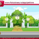 ���� ����, ������, 24 ���� - ��������� 26 ������� 2010 � ������ �PetLove�