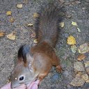 ���� ����, �����-���������, 64 ���� - ��������� 15 ��� 2013