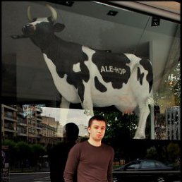 ���� Elvis, �����-���������, 39 ��� - ��������� 24 ������� 2009