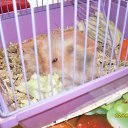 ���� ������ :3, ������, 23 ���� - ��������� 3 �������� 2010 � ������ ���� ����������