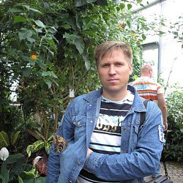 ������ ���������, ������, 52 ����