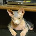 ���� �����, ������ - ��������� 28 ������� 2011 � ������ ���������� ������