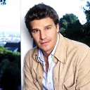 ���� �����, �������, 48 ��� - ��������� 1 ���� 2013 � ������ ���� ����������