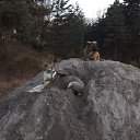  , , 41  -  15  2010   ~ ~ ~