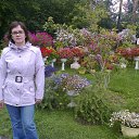 ���� �����, ���������, 50 ��� - ��������� 29 ������� 2012 � ������ ���� ����������