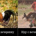 ���� Nadeshda-, �������� - ��������� 24 ���� 2013 � ������ ���� ����������