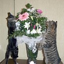 ���� ��������, ������ - ��������� 27 �������� 2010 � ������ ���������!!!�