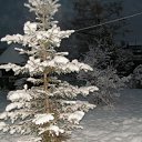 ���� �������� �������, �������, 55 ��� - ��������� 30 ������ 2010 � ������ �������� ������