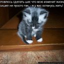 ���� ���, ����, 50 ��� - ��������� 29 ��� 2011 � ������ �������