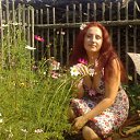   , , 43  -  3  2010    2010