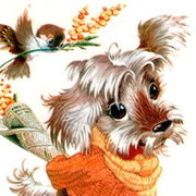 ���� Valerii, �����-���������, 56 ��� - ��������� 7 �������� 2011