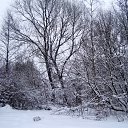 ������ ����... �� ������� ��������