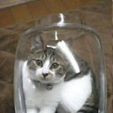 ���� �������, �����, 39 ��� - ��������� 2 ������ 2009 � ������ ��������� �����