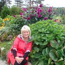 ���� ����, �����, 68 ��� - ��������� 9 ���� 2013