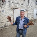 ���� ����, ���������, 68 ��� - ��������� 3 ��� 2012 � ������ ���� ����������