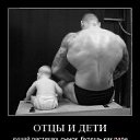  , , 43  -  12  2009   .....