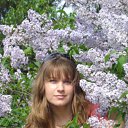 ���� ����, �������� ������ - ��������� 3 ������ 2010 � ������ ���� ����������