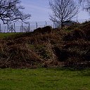���� ��op�, ����, 44 ���� - ��������� 25 ��� 2013 � ������ �Woburn Safari Park(Uk)�