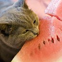 ���� ��������, ��������, 25 ��� - ��������� 8 ������� 2011