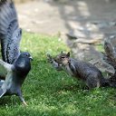 ���� ����� - ���������� ��������!!!, �����������, 56 ��� - ��������� 14 ���� 2010 � ������ �� ����� �������� � ... �� ������