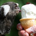 ���� ����� - ���������� ��������!!!, �����������, 56 ��� - ��������� 14 ���� 2010 � ������ �� ����� �������� � ... �� ������