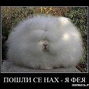 ���� ������, �����������, 51 ��� - ��������� 7 ��� 2012 � ������ �������