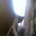 ���� ���������, ���������, 44 ���� - ��������� 7 ������� 2010 � ������ ���� "�������"�
