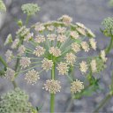 ���� ������, ��������� - ��������� 20 ���� 2010 � ������ ����, ����!!!�