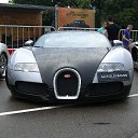 ���� ������, ����������, 41 ��� - ��������� 13 ���� 2013 � ������ ���� ����������