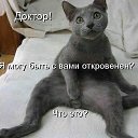 ���� ����, ������-��-����, 51 ��� - ��������� 25 ����� 2013