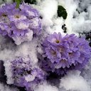 ���� �������, ������ - ��������� 27 ����� 2012 � ������ ����������