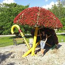 ���� Toronja ❤ &reg;, ����, 39 ��� - ��������� 10 ��� 2011 � ������ �Sigulda�
