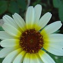 ���� ������, ������, 63 ���� - ��������� 5 ������� 2011 � ������ ������-���� �����-2�