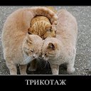 ���� Sveta, ������, 51 ��� - ��������� 9 ������ 2012 � ������ ��������