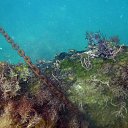 ���� �����, ���������, 48 ��� - ��������� 21 ������� 2012 � ������ ���� ����������