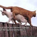 ���� ��������, ������ - ��������� 27 �������� 2010 � ������ ���������!!!�