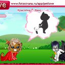  , , 26  -  12  2010   PetLove