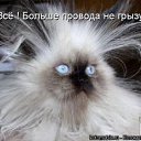 ���� �����������, ������������, 60 ��� - ��������� 25 ������ 2012 � ������ �������