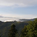  , -, 55  -  10  2010   