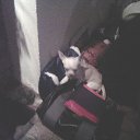 ���� ����, ������, 50 ��� - ��������� 1 ������� 2012 � ������ �������