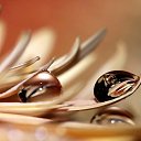 ���� �����, ������, 26 ��� - ��������� 11 �������� 2010 � ������ �����