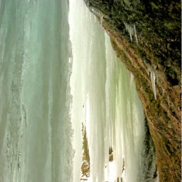 ���� ����, ����, 67 ��� - ��������� 26 ����� 2012