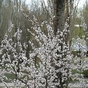 ���� ���� ����, ����������, 50 ��� - ��������� 19 ����� 2010 � ������ ��������� ������!�