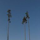  .,  -  26  2009    2009