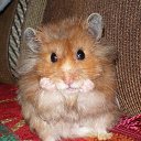 ���� Ivan, ������ - ��������� 24 ������ 2011 � ������ �������